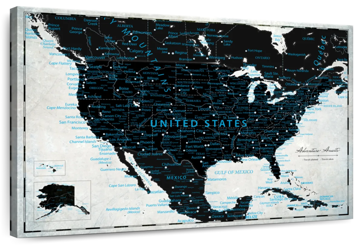 Black And Blue Journeys Push Pin USA Map 1