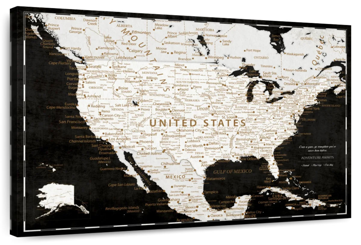 Black Horizon Push Pin USA Map 1