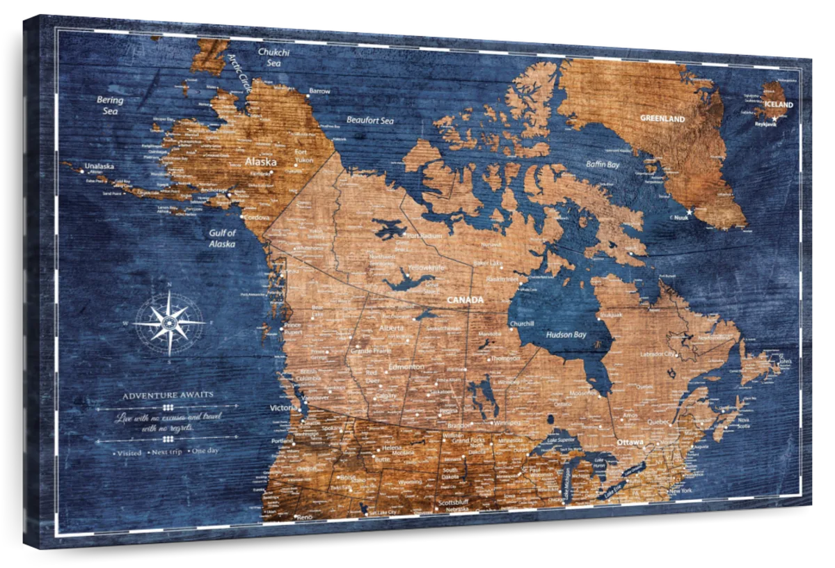 Brown And Blue Journeys Canada Push Pin Map 1