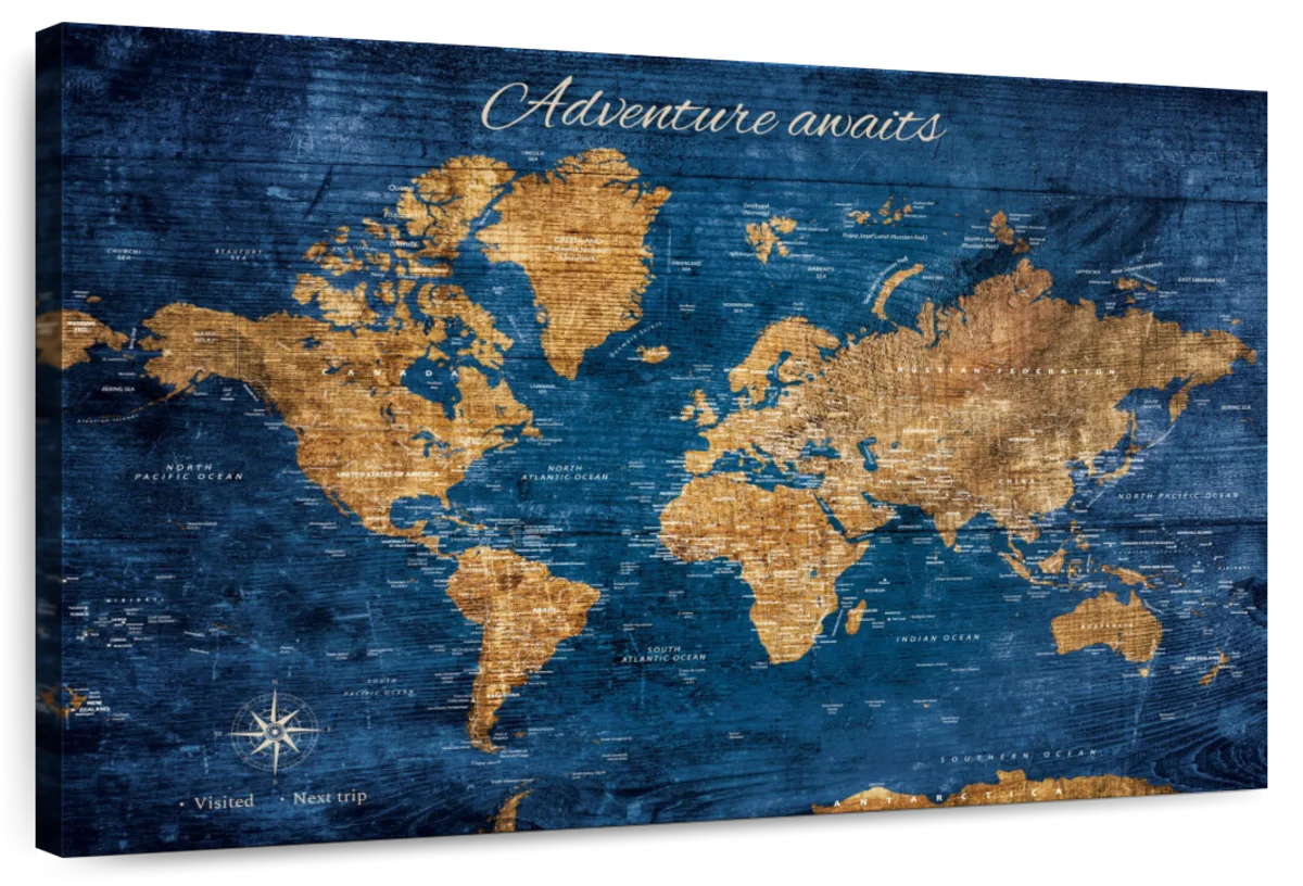 Golden Voyage Push Pin World Map 1