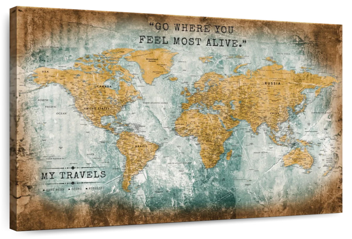 My Travels Across The World Push Pin Map 1