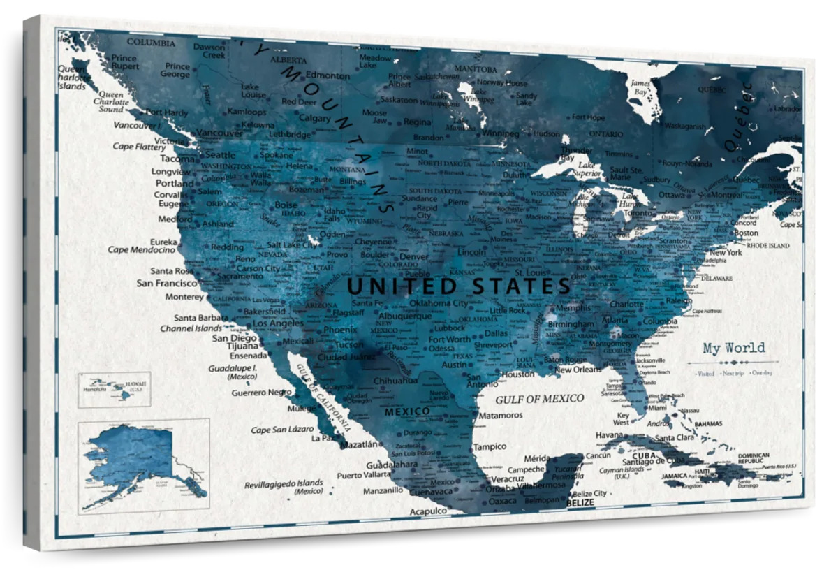 My World in Blue Push Pin USA Map 1
