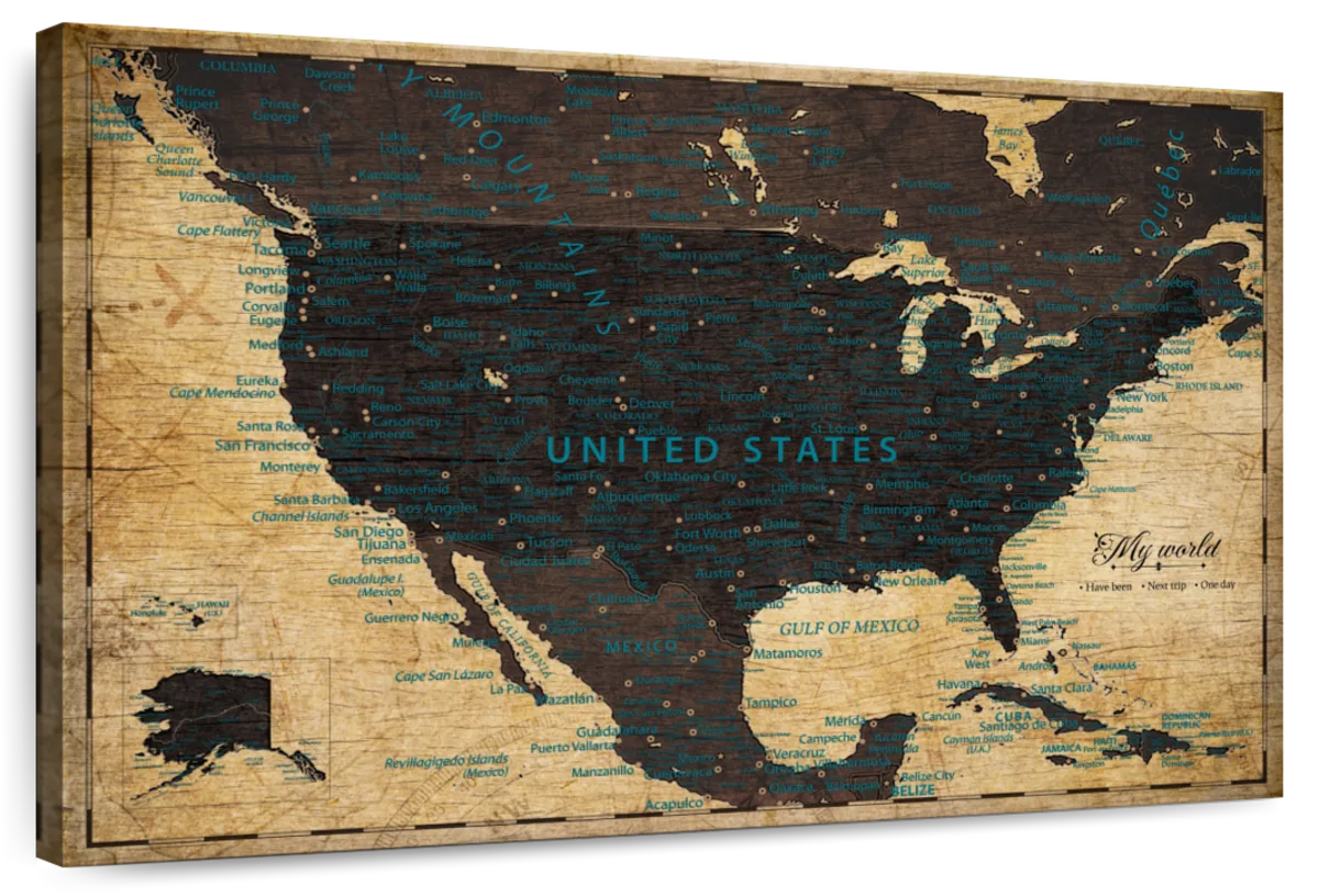 My World Push Pin USA Map 1