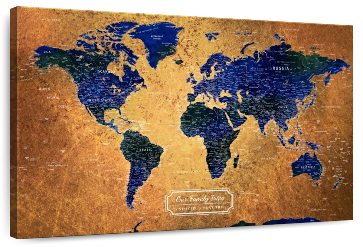 Our Family Trips Push Pin World Map 1