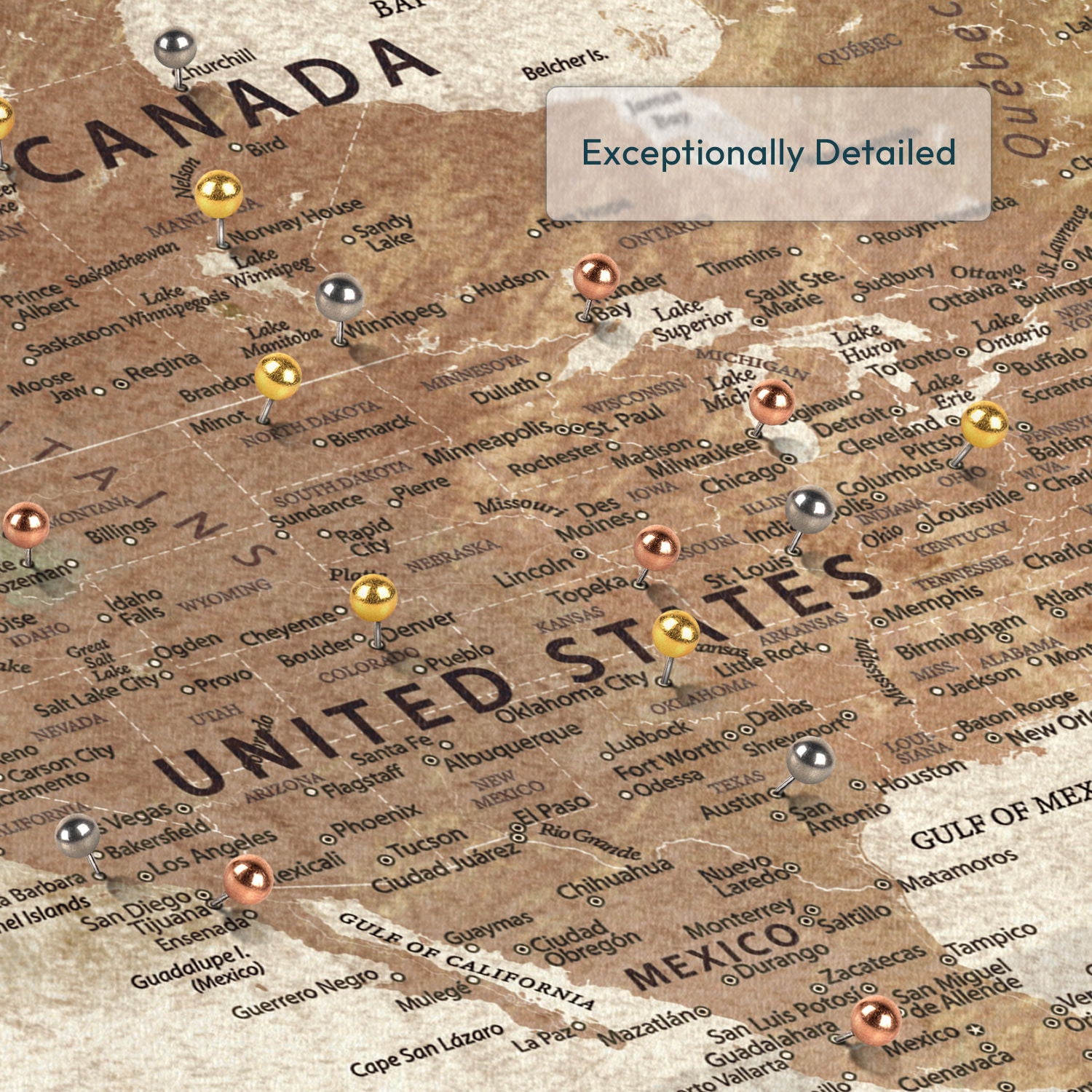 Personalized Time Flies Push Pin World Map 4