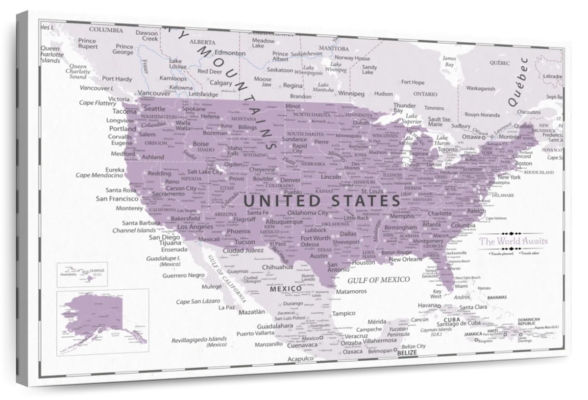 Purple Horizons Push Pin USA Map 1