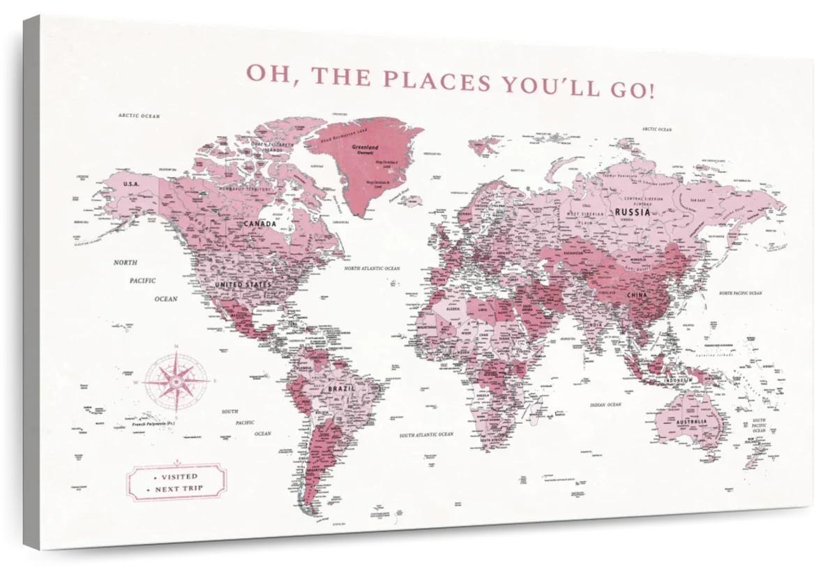 The Places Youll Go Push Pin World Map 1