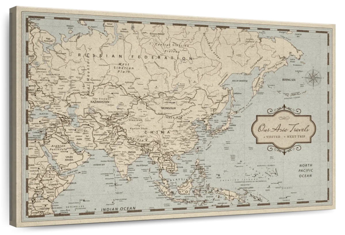 Vintage Trails Asia Push Pin Map 1
