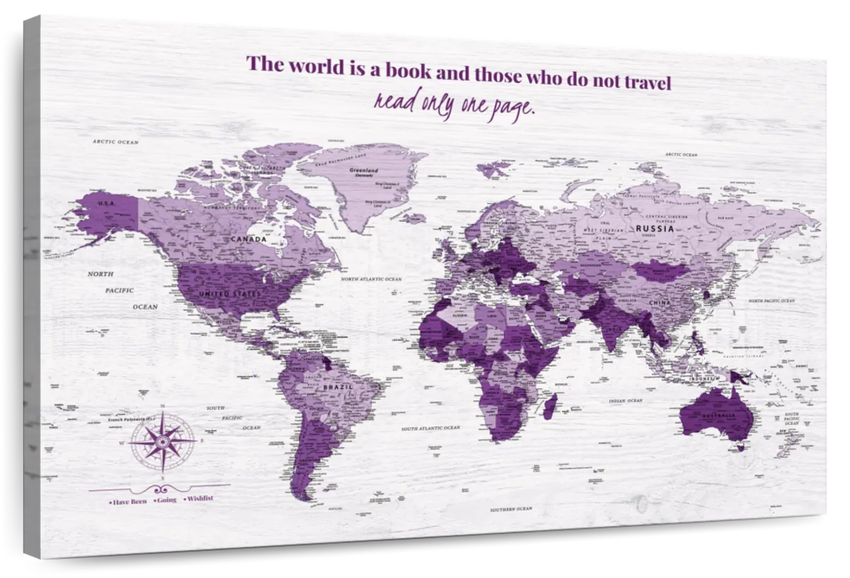 World Is A Book Push Pin Travel Map 1